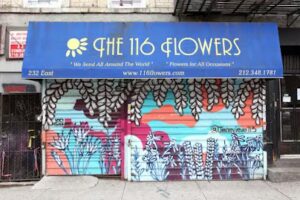116 flowers new york 1894