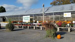 binley florist garden center queensbury 998