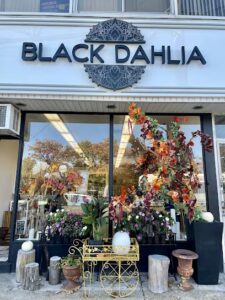 black dahlia melville 600