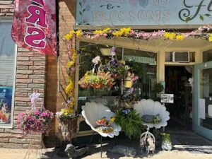 Blooms & Blossoms Florist Gifts & Gourmet blooms blossoms florist gifts gourmet oneida 1214