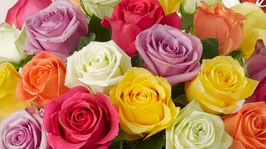 brooklyn flower shop brooklyn 1876