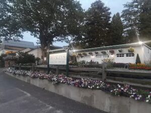 buckleys flower shop east hampton 45