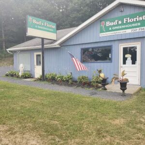 buds florist greenhouses castleton on hudson 520