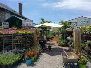 Community Garden Center & Construction community garden center construction ocean beach 1485