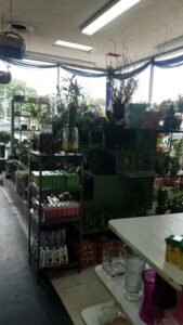 danas flower shop forest hills 1109
