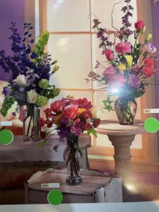 david flowers jamaica 1211