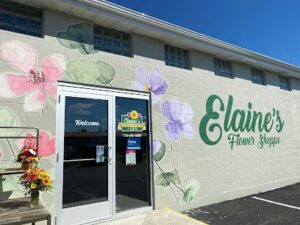 elaines flower shoppe west seneca 798