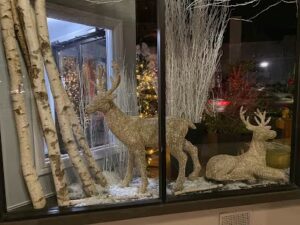 enchanted flowers new rochelle 1695