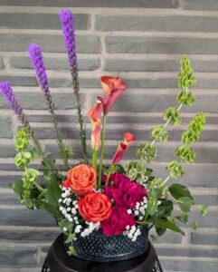 feather fern llc cuba 8