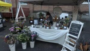floral divine pop up flower shop design studio glens falls 404