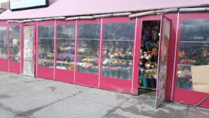 flowers 4 seasons kew gardens hills 1163