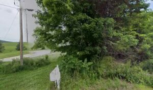 George's Flowers & Gifts georges flowers gifts berkshire 397