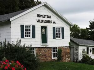 homestead wildflowers albion 564