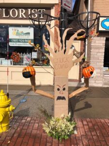 hopper hills victor 1006