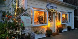 indoor jungle newburgh 794