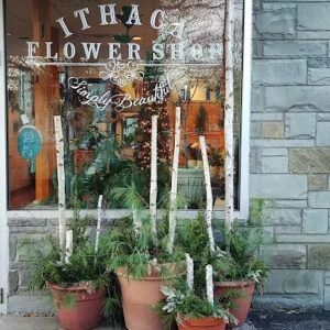 ithaca flower shop ithaca 1649