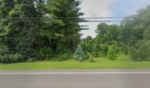 jjs u cut christmas trees newark 1351