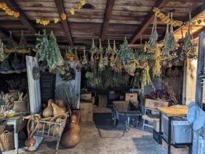 johnsons dried flowers lockport 357