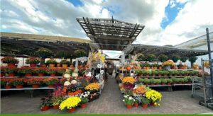 lilys florist gift shop carle place 1539