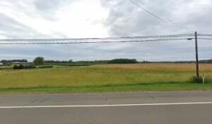 m r greenhouses dunkirk 597