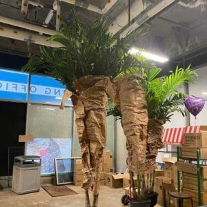 new rochelle florist new rochelle 1300